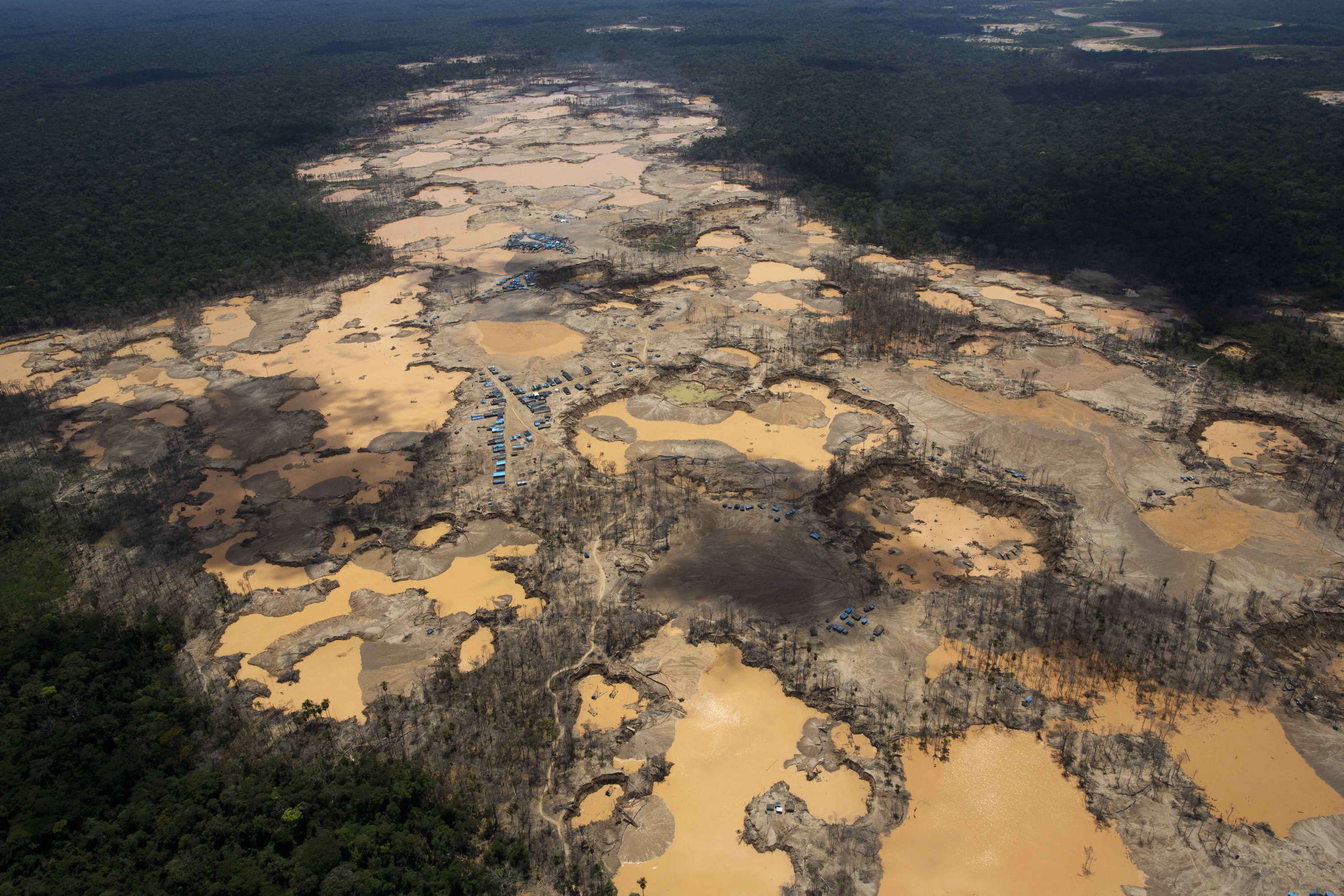 Rodrigo Abd: Peru’s Illegal Gold Mining – Ravaging The Rainforest | THE ...